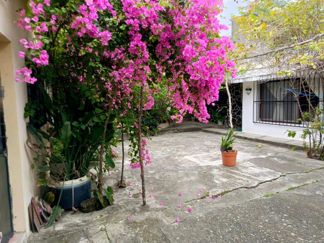 Posada Familiar Papantla 외부 사진